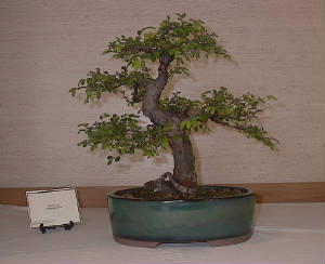 im004266.jpg